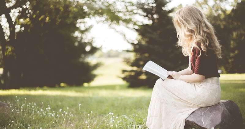 Blog business : comment une lecture régulière devient un outil de travail